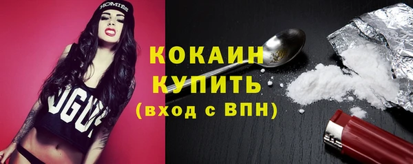 молекула духа Елизово