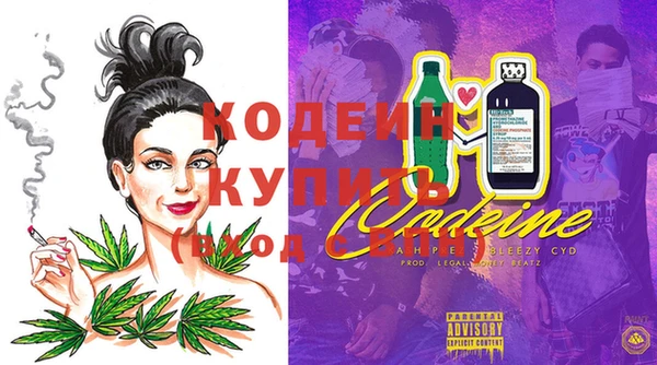 молекула духа Елизово
