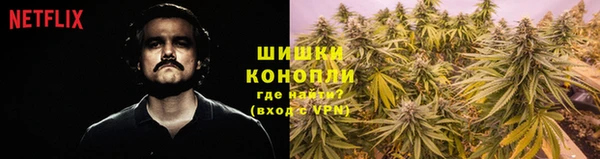 эйфоретик Елабуга