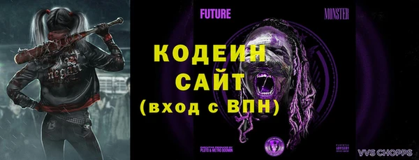 молекула духа Елизово