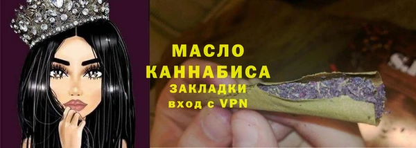 молекула духа Елизово