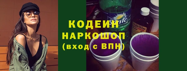 молекула духа Елизово