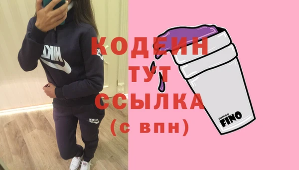 молекула духа Елизово