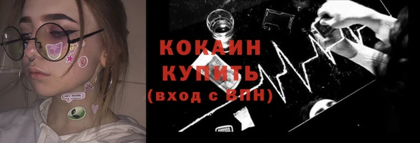 молекула духа Елизово