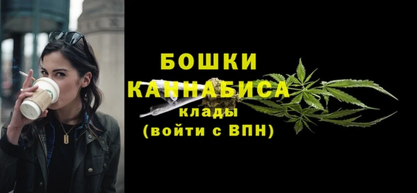 молекула духа Елизово
