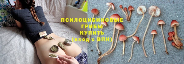 мяу мяу кристалл Ельня