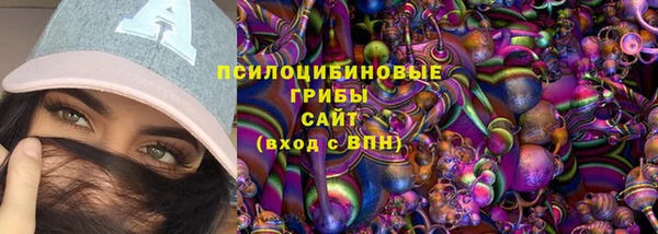 эйфоретик Елабуга