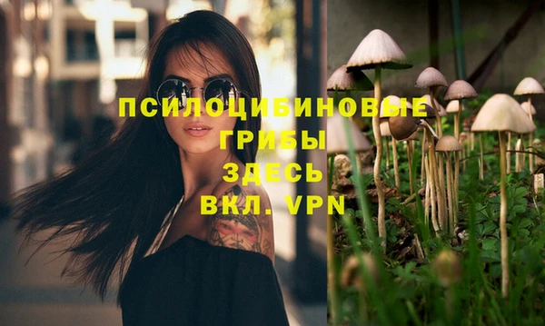 эйфоретик Елабуга