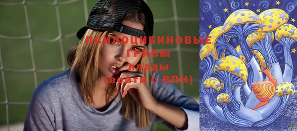 мяу мяу кристалл Ельня
