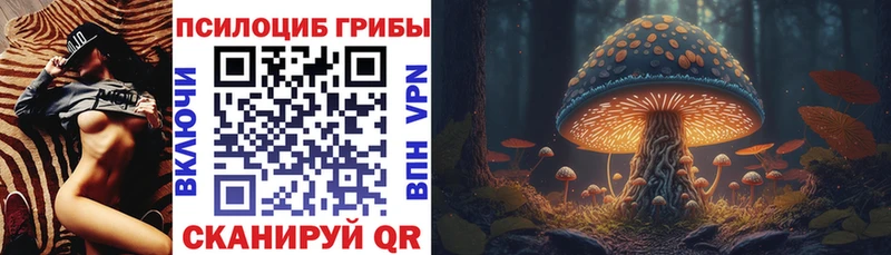 Псилоцибиновые грибы Psilocybe Купить закладки Новоульяновск